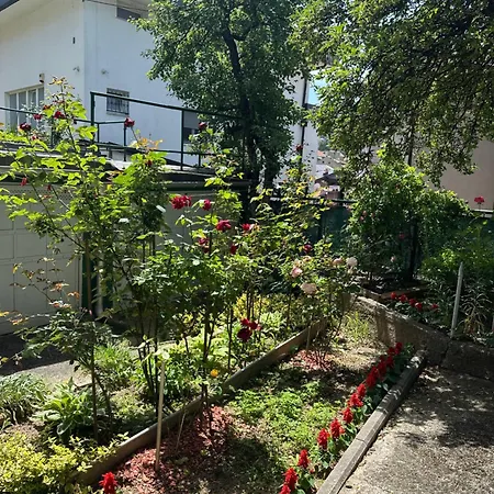 Apheartments Apartment